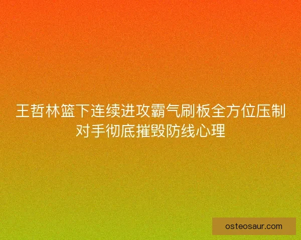 王哲林篮下连续进攻霸气刷板全方位压制对手彻底摧毁防线心理